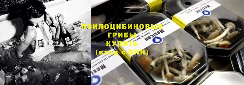 наркошоп  Горнозаводск  Псилоцибиновые грибы Psilocybe 